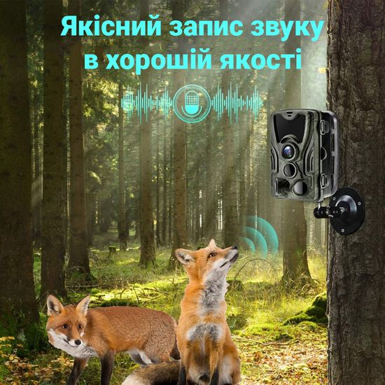 Фотоловушка, охотничья WiFi камера Suntek WiFi801pro, 4K, 30Мп, с приложением iOS / Android 7549 фото