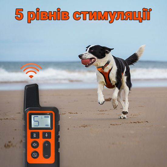 Електронашийник для дресирування собак iPets DTC-500 водостійкий, до 500 метрів, помаранчевий 7373 фото