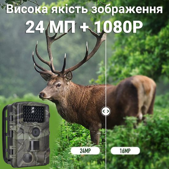 Фотоловушка, охотничья камера Suntek HC-808A, базовая, без модема, 1080P / 24МП 0183 фото
