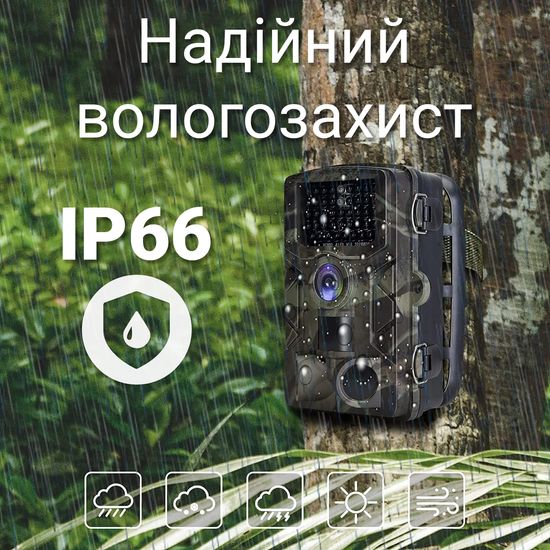 Фотопастка, мисливська камера Suntek HC-808A, базова, без модему, 1080P / 24МП 0183 фото