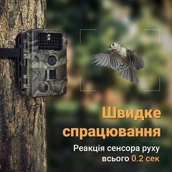 Фотопастка, мисливська камера Suntek HC-808A, базова, без модему, 1080P / 24МП 0183 фото