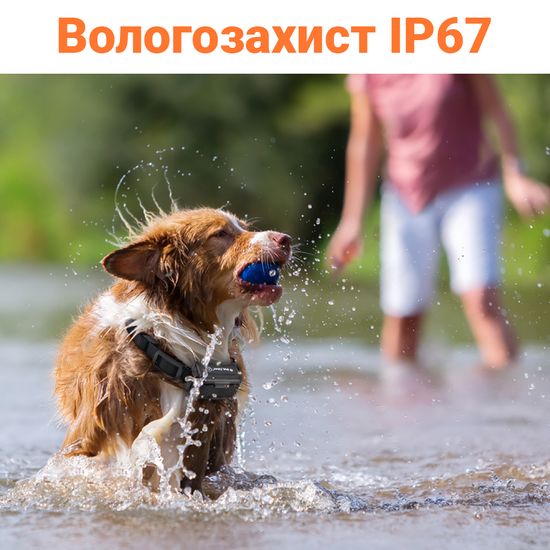 Водонепроницаемый электроошейник для дрессировки собак iPets PET619-1, перезаряжаемый, оранжевый 6827 фото