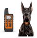 Электроошейник для дрессировки собак iPets DTC-500 водонепроницаемый, до 500 метров, оранжевый 7373 фото 2