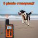 Електронашийник для дресирування собак iPets DTC-500 водостійкий, до 500 метрів, помаранчевий 7373 фото 8