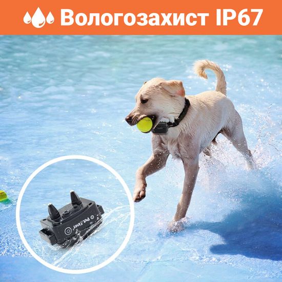 Электроошейник для тренировки собаки iPets 620-1, водонепроницаемый, перезаряжаемый 6828 фото