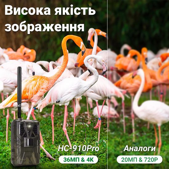 4G / APP Фотопастка, мисливська камера Suntek HC-910Pro | 4K, 36Мп, з live додатком iOS / Android 0185 фото
