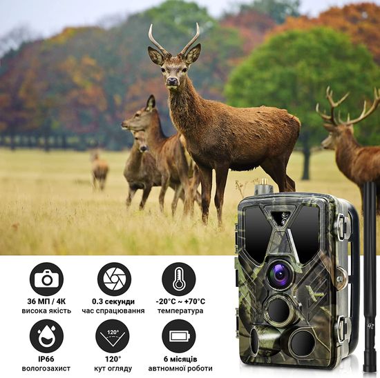 4G / APP Фотоловушка, охотничья камера Suntek HC-812Pro | 4K, 36Мп, с live приложением iOS / Android 0186 фото