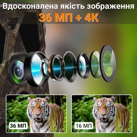4G / APP Фотопастка, мисливська камера Suntek HC-812Pro | 4K, 36Мп, з live додатком iOS / Android 0186 фото