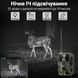 4G / APP Фотоловушка, охотничья камера Suntek HC-812Pro | 4K, 36Мп, с live приложением iOS / Android 0186 фото 7