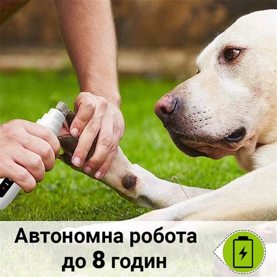 Електричний гриндер для догляду за кігтями собак і кішок iPets NG9, білий 7329 фото