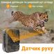 4G / APP Фотоловушка, охотничья камера Suntek HC-940Pro | 4K, 36Мп, с live приложением iOS / Android 0187 фото 9
