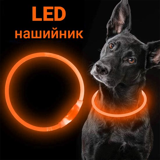 Светодиодный светящийся ошейник с LED подсветкой iPets LC-01, размер L, оранжевый 7797 фото