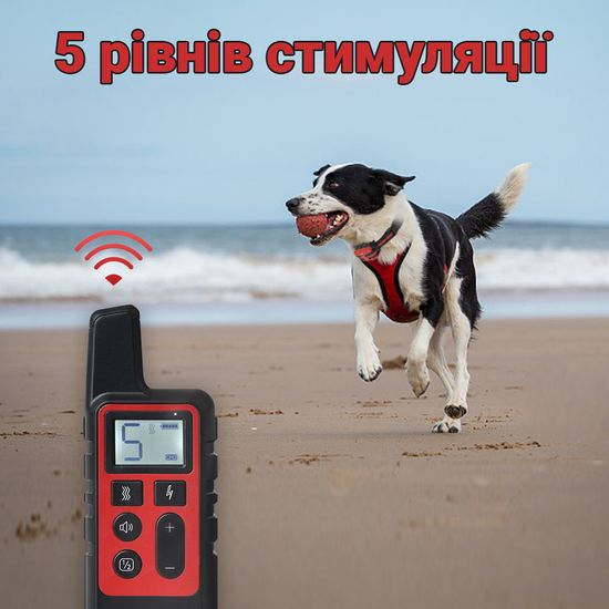 Електронашийник для дресирування собак iPets DTC-500 водостійкий, до 500 метрів, червоний 7136 фото