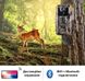 Фотоловушка, охотничья WiFi камера Suntek WiFi900plus, 2,7K, 36Мп, с приложением iOS / Android 7550 фото 3