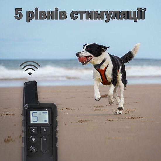 Електронашийник для дресирування собак iPets DTC-500 водостійкий, до 500 метрів, чорний 7137 фото