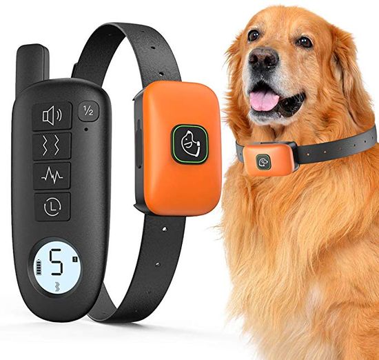 Электронный ошейник Digital Lion YH057-1 для коррекции поведения собак, до 330м, водонепроницаемый, оранжевый 7139 фото