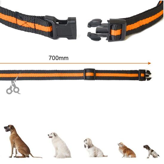 Электроошейник для дрессировки собак iPets DTC-500-2, с 2-мя ошейниками, водонепроницаемый, до 500 метров, оранжевый 7576 фото