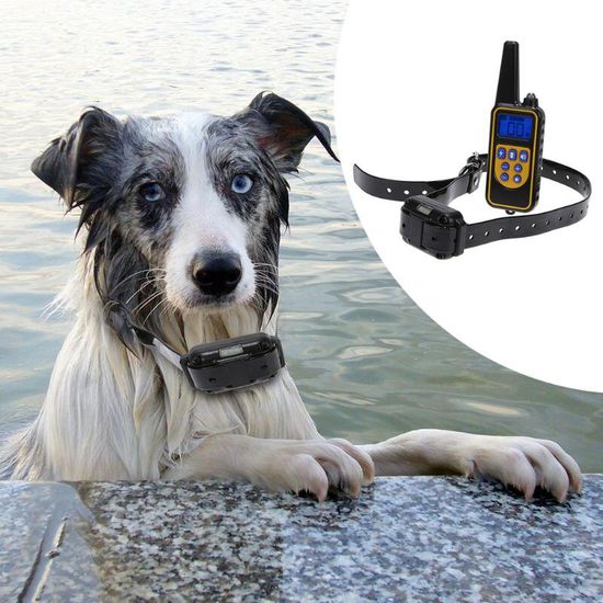 Електронашийник для дресирування собак iPets DTC-800, з 2-ма нашийниками для 2-х собак, водонепроникний 3857 фото