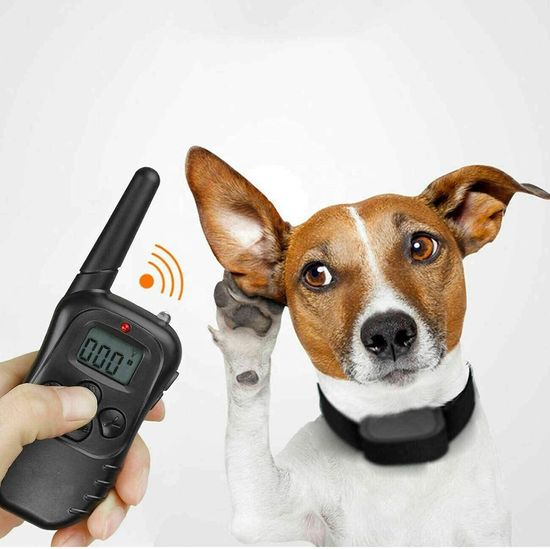 Электронный ошейник для дрессировки собак Petrainer PET998DR, с 2-мя ошейниками, перезаряжаемый 4231 фото