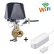 WiFi Комплект защиты от потопа USmart | электропривод SM-01w + датчик затопления LWS-01w, Tuya, DN15, 1/2" 7445 фото 1