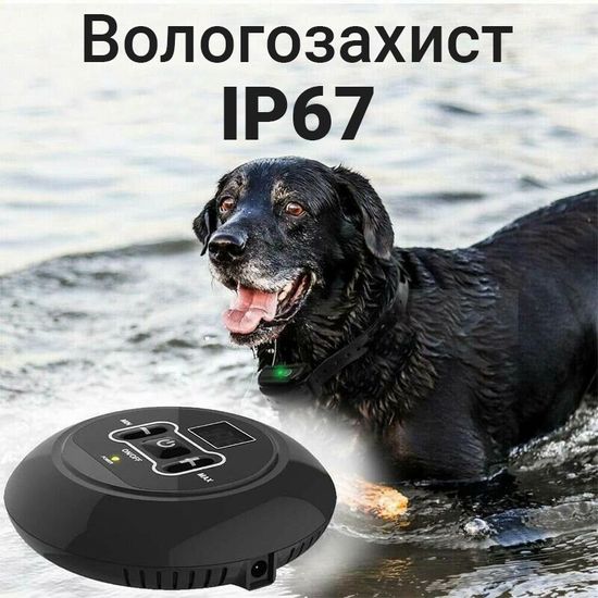 Беспроводной электронный забор для собак iPets WDF-558, с 1 ошейником 6258 фото
