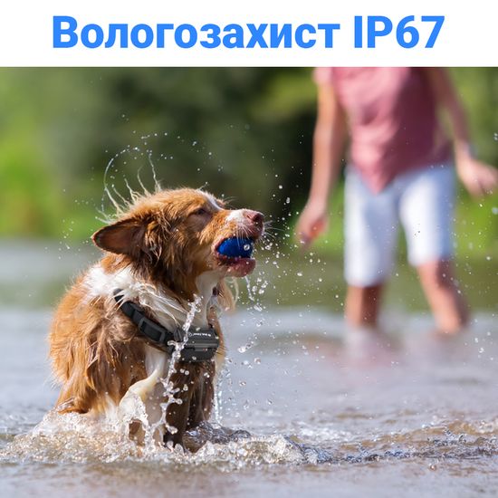 Водонепроницаемый электроошейник для дрессировки собак iPets PET619-2, два ошейника, перезаряжаемый, синий 5343 фото