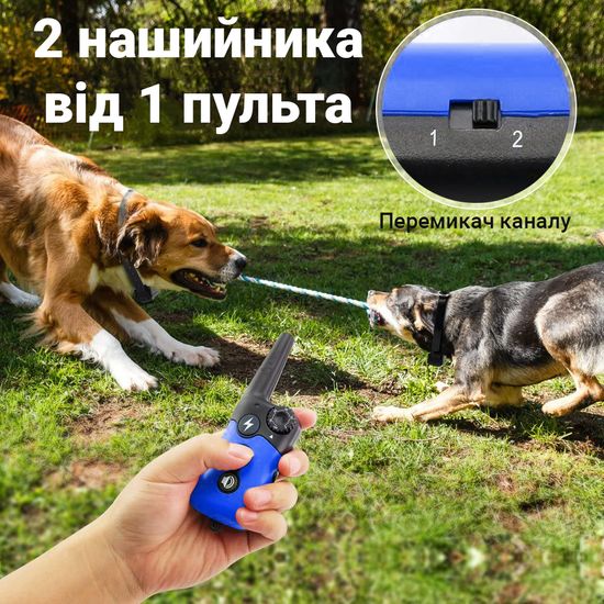 Водонепроникний електронашийник для дресирування собак iPets PET619-2, два ошийника, що перезаряджається, синій 5343 фото
