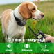 Электроошейник для дрессировки собак Petainer 900-B1, ошейник электронный до 1 км 6260 фото 5