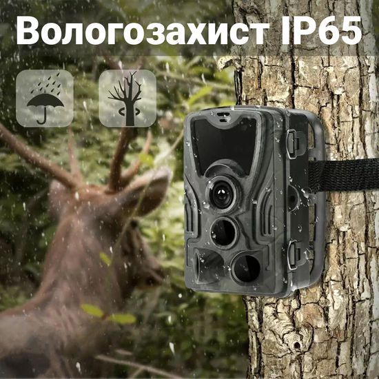 Фотоловушка, охотничья камера Suntek HC-801LTE, 4G, SMS, MMS 7202 фото