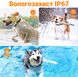 Бездротовий електронний паркан для собак Pet KD-661 з 2-ма нашийниками, білий 7104 фото 10