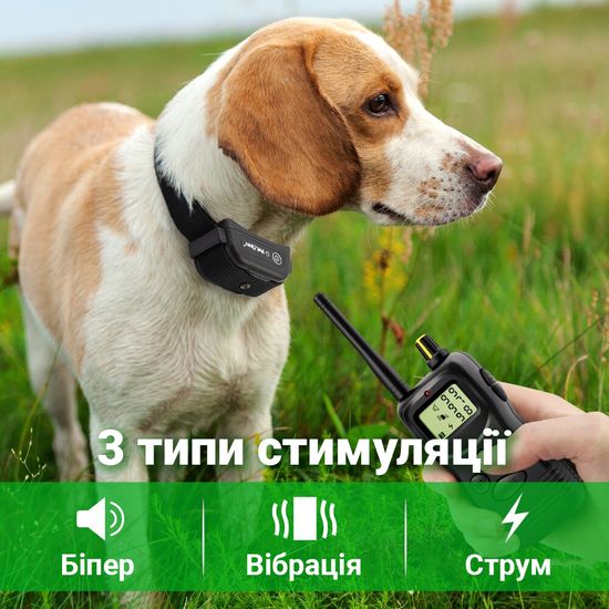 Електронашийник для дресирування собак Petainer 900-B2 для 2-х собак, нашийник електронний до 1 км 6668 фото