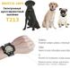 Часы с электроошейником Digital Lion T213, ошейник электронный для дрессировки собак, до 300 м, 7294 фото 5
