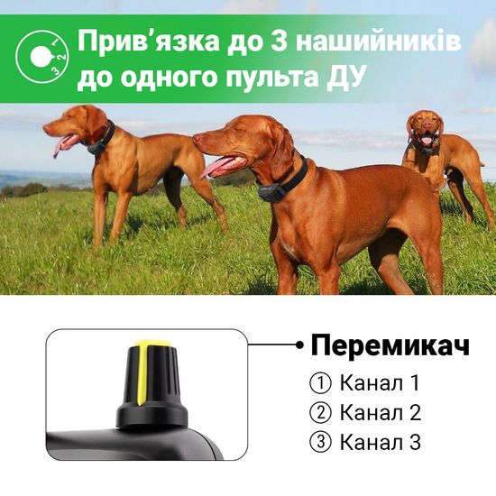 Электроошейник для дрессировки собак Petainer 900-B3 для 3-х собак , ошейник электронный до 1 км 6682 фото