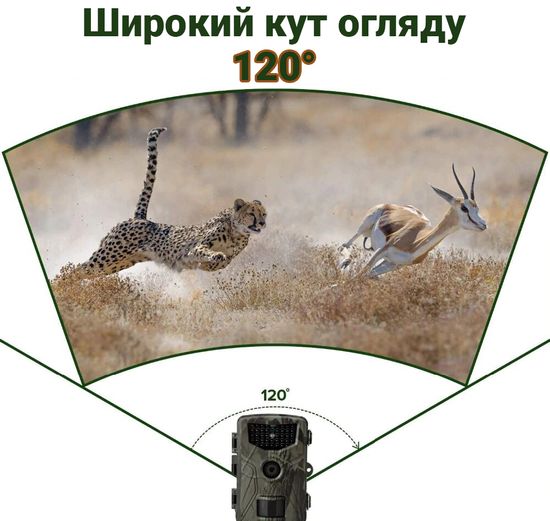 Фотоловушка, охотничья камера Suntek HC-804A, 2,7К, 24МП, базовая, без модема 7548 фото