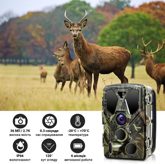 Фотоловушка, профессиональная охотничья камера Suntek HC-812A | 2.7К, 36МП, базовая, без модема 0180 фото