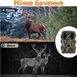 Фотоловушка, профессиональная охотничья камера Suntek HC-812A | 2.7К, 36МП, базовая, без модема 0180 фото 6