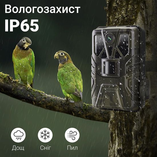 Фотопастка, професійна мисливська камера Suntek HC-910A | 2.7К, 36МП, базова, без модему 0181 фото