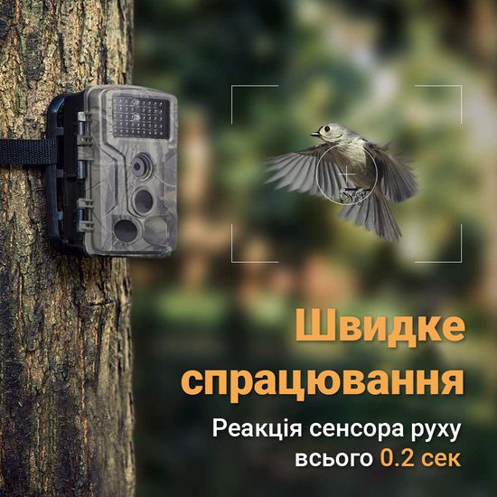 Фотопастка, мисливська камера Suntek HC-802A, базова, без модему, 2.7К / 24МП 0182 фото